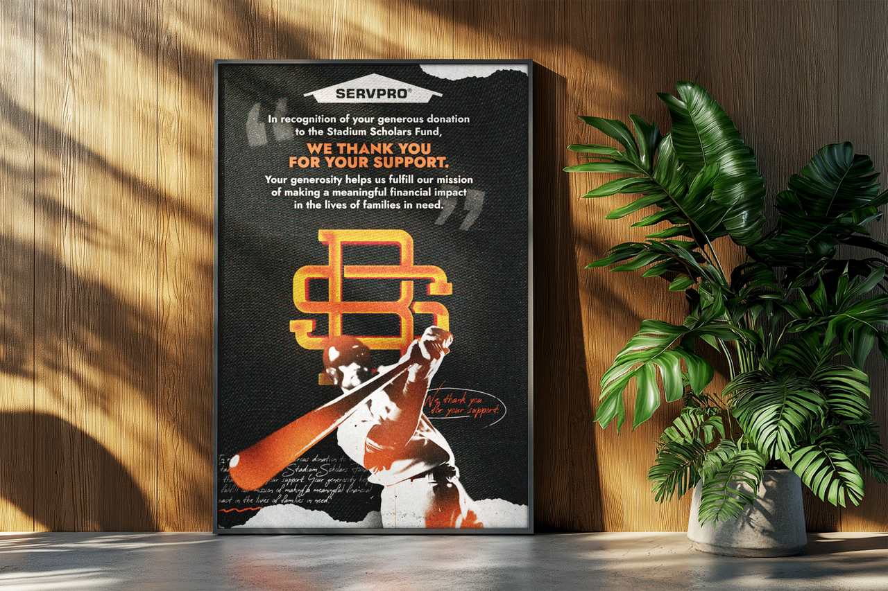 Stadium Baseball Sponsor Print